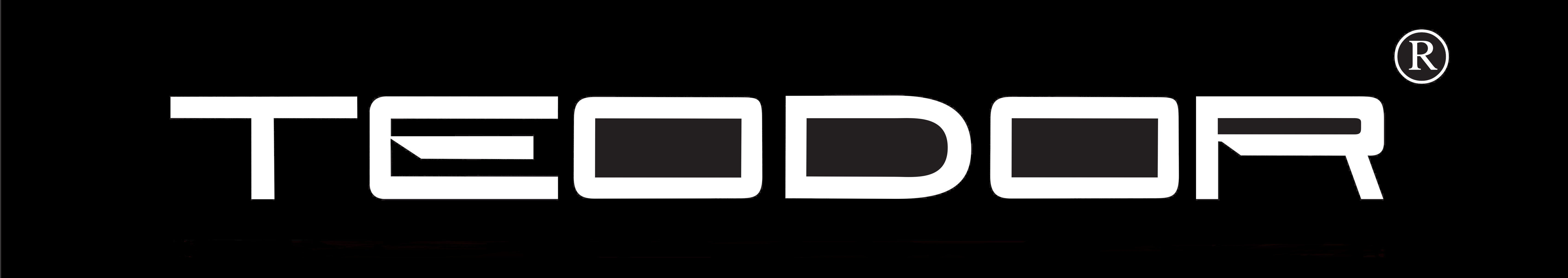 TEODOR_logo